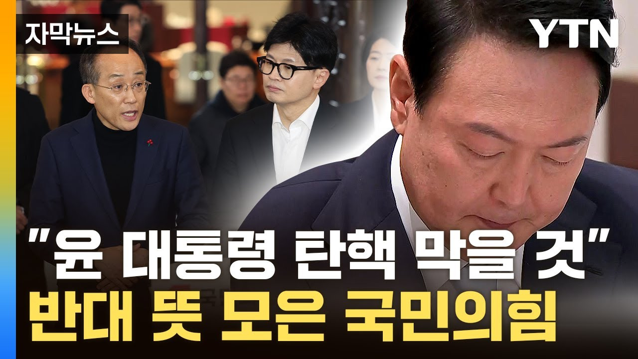 탄핵 반대 이유