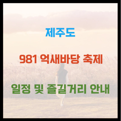 제주 981 억새 바당 축제 일정 및 즐길거리 안내