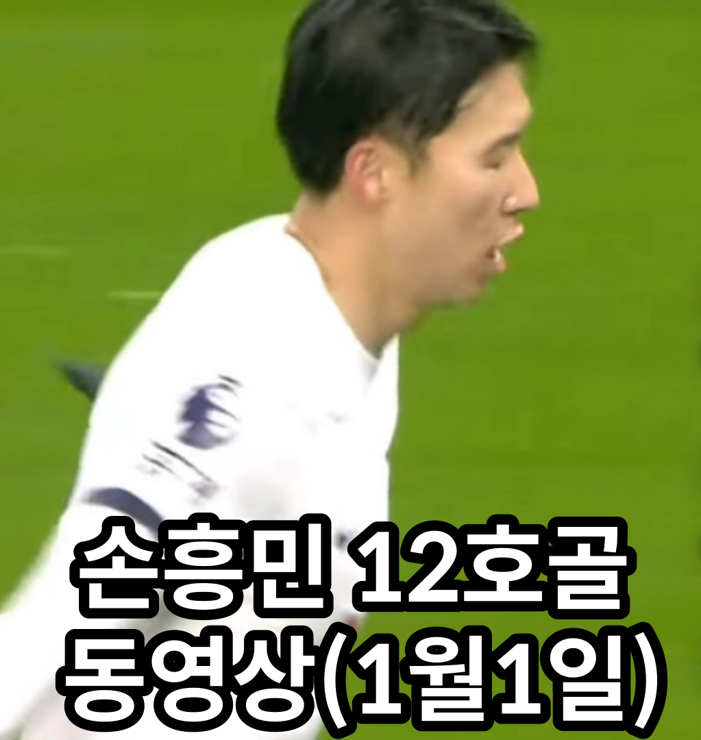 손흥민 12호골 &nbsp;동영상(1월1일)