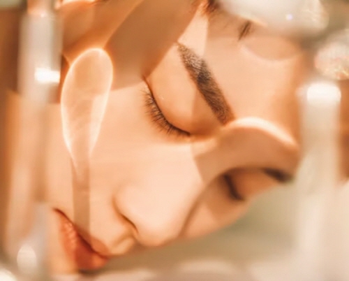 스테비아 방울토마토