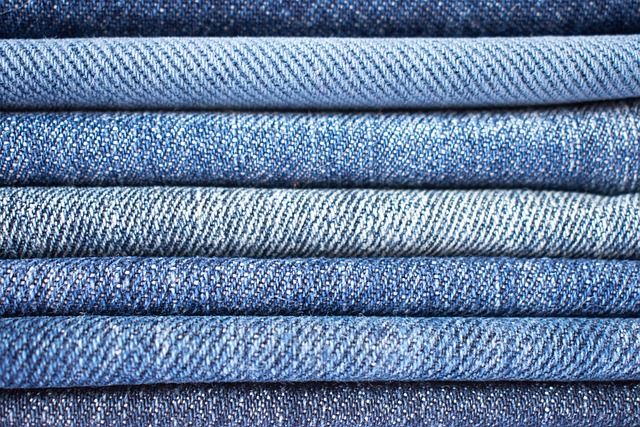 데님(DENIM)의 어원과 역사