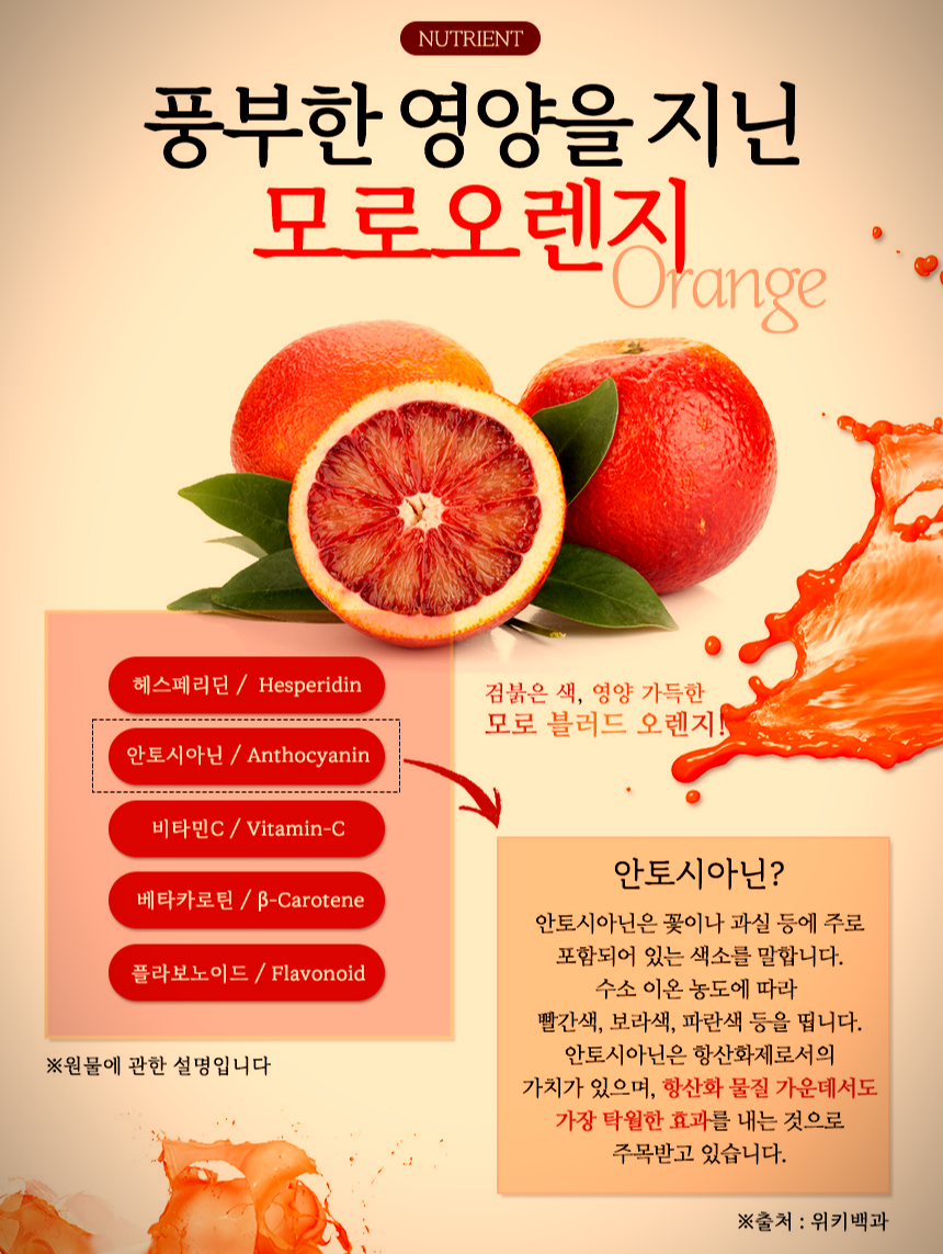 모로 오렌지 홍보 이미지