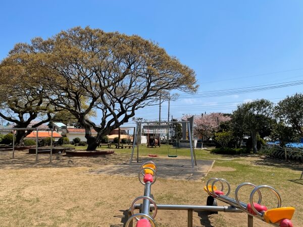 표선초등학교