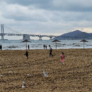 2026 광안리 바다 보이는 카페,맛집,야경까지 즐기는 여행