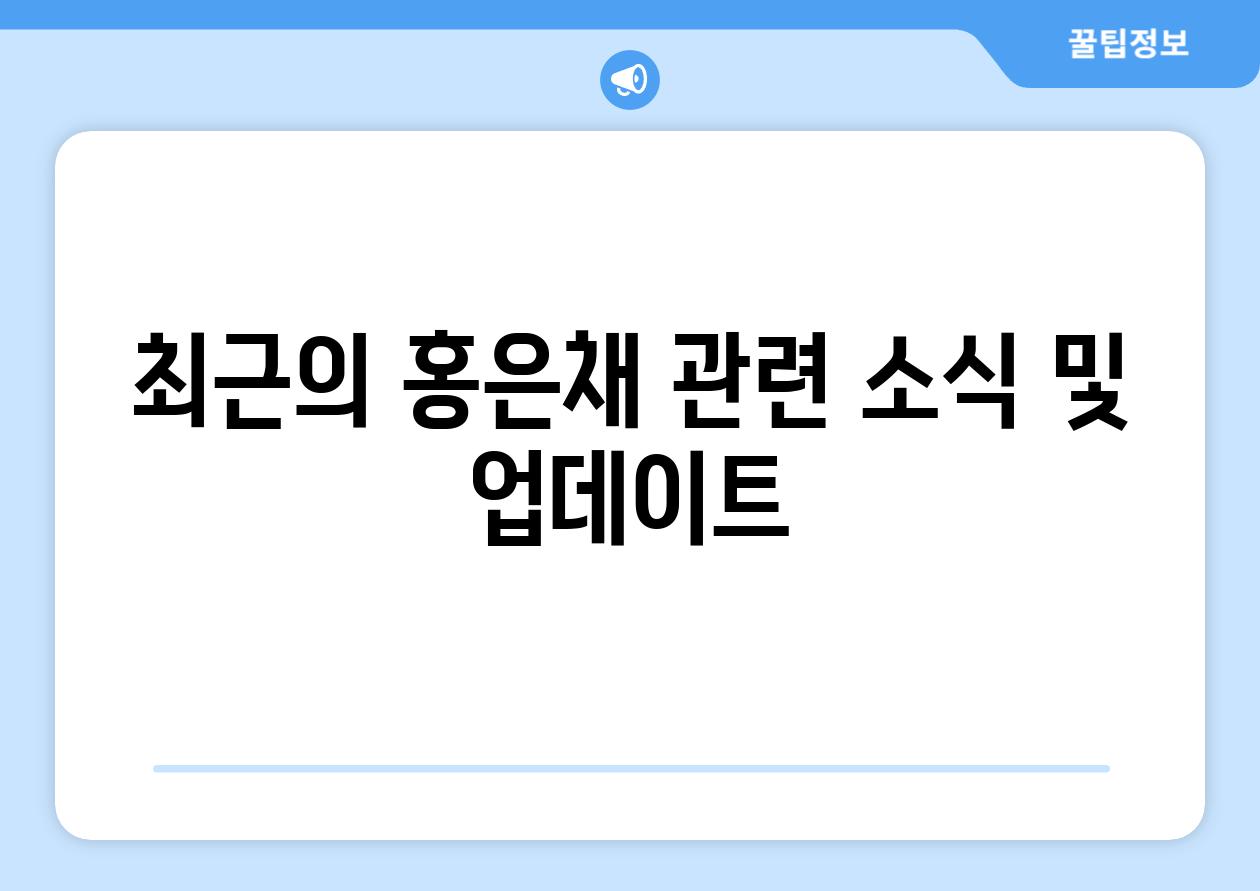 최근의 홍은채 관련 소식 및 업데이트