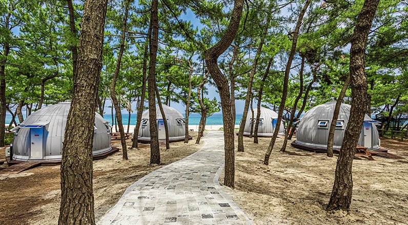 연곡 솔향기 캠핑장 예약