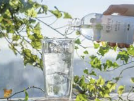 고로쇠물 효능 먹는 방법 보관 방법 총정리!