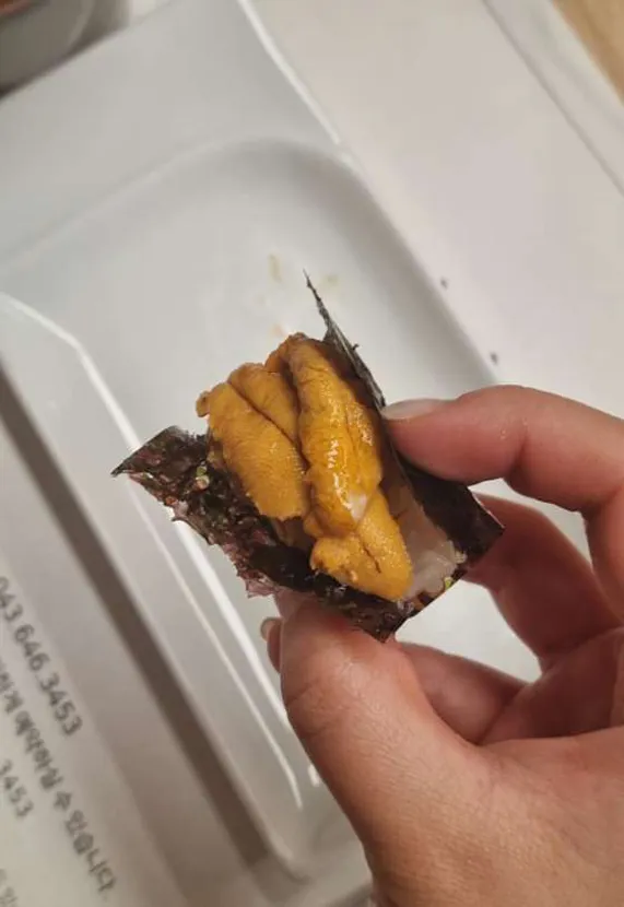수사가