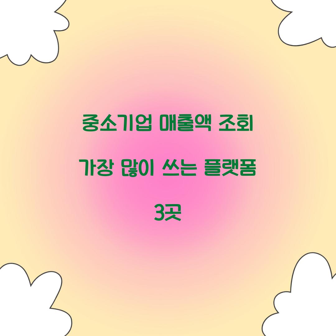 중소기업 매출액 조회 가장 많이 쓰는 플랫폼 3곳