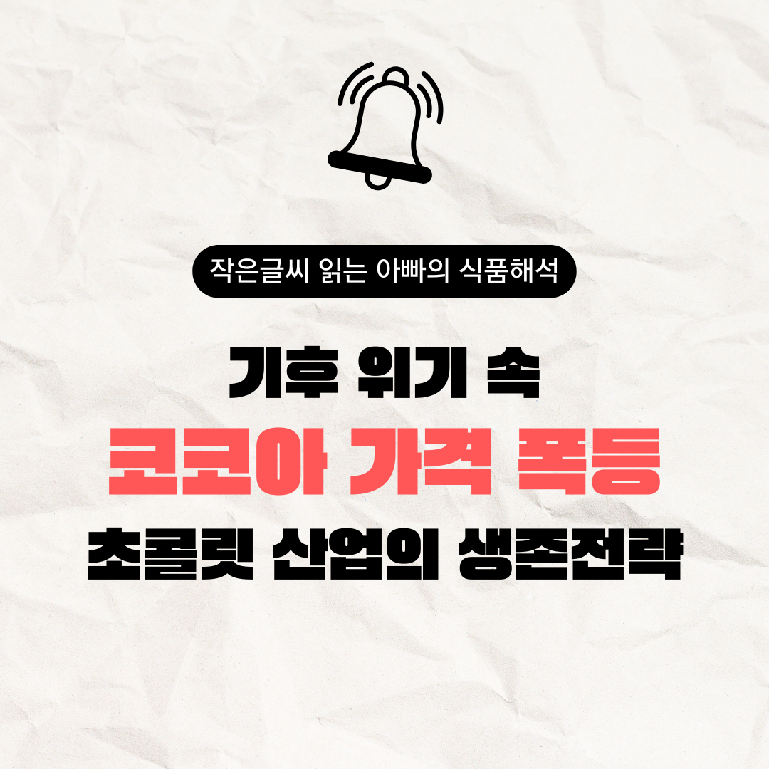 코코아 가격 폭등