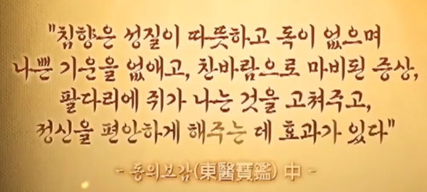 침향환 효능