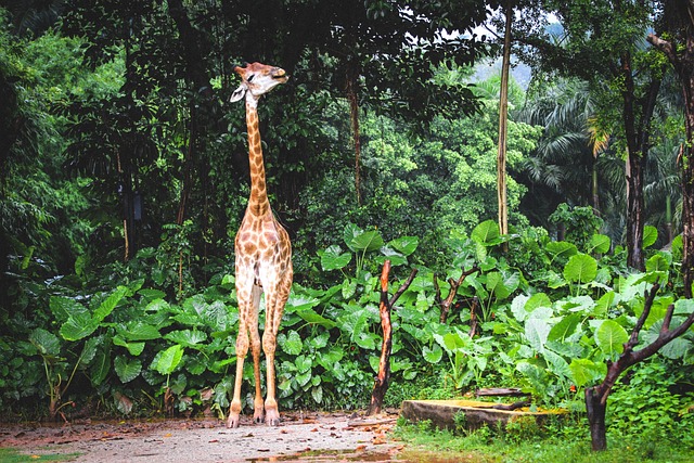 거북목 교정기: 제품 추천부터 효과와 사용법까지 완벽 정리
