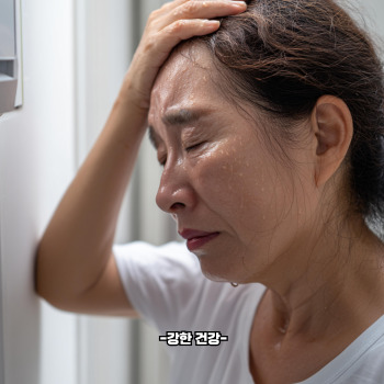 열사병 증상 