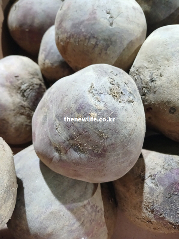 시장에 진열된 비트 뿌리 실물 사진으로 비트 효능과 관련된 실제 식재료 모습