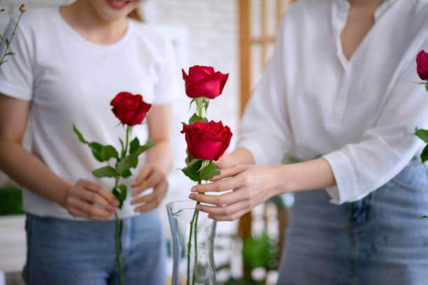 이 이미지는 1월 12일 탄생화 장미 꽃말 생일 선물하기에 대한 포스팅의 참고 사진입니다.