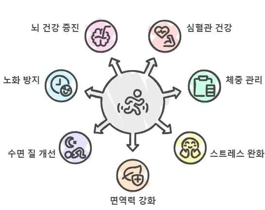 유산소-운동-효과