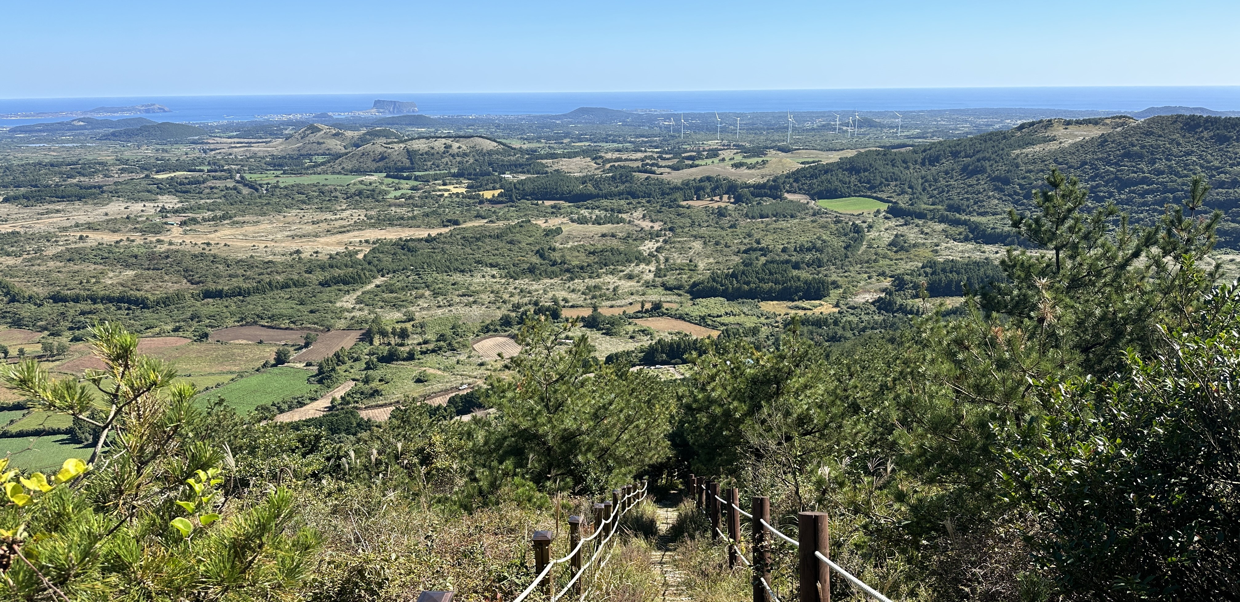 높은오름 내려가는길