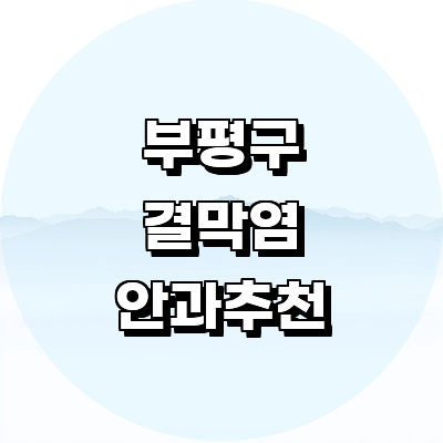 인천 부평구 안과