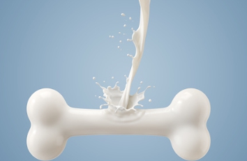 MBP 단백질 효능