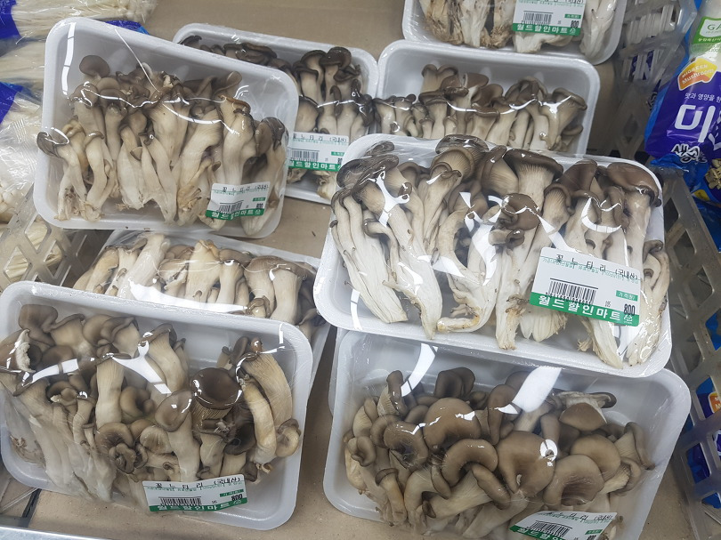 많이 먹는 버섯 종류6