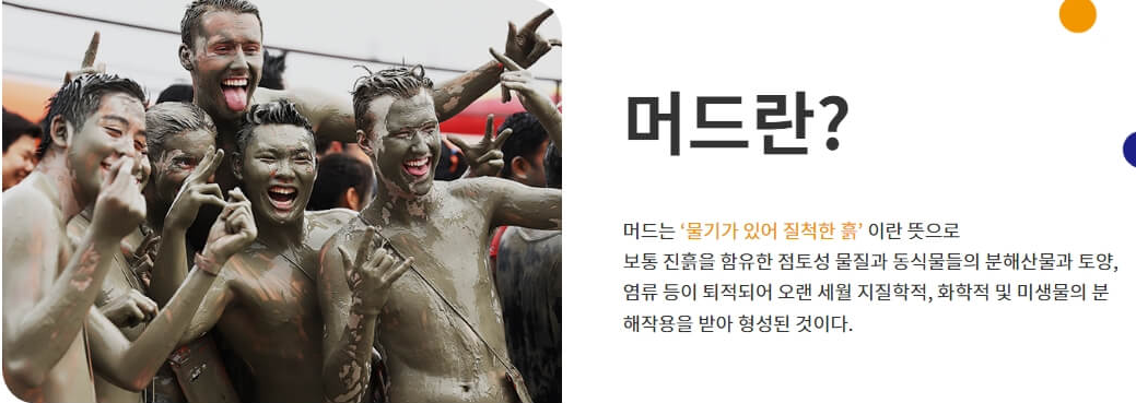 2024 대천 보령머드축제 이용요금 공연일정