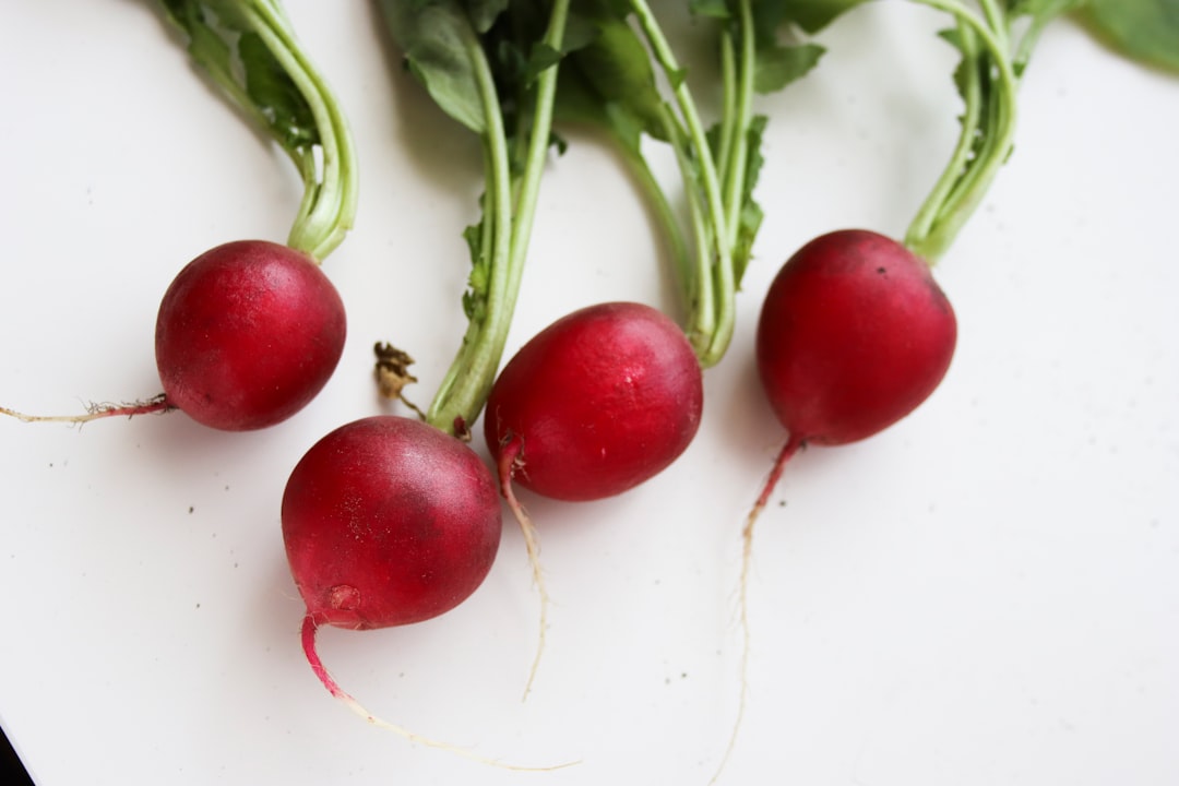 Radish