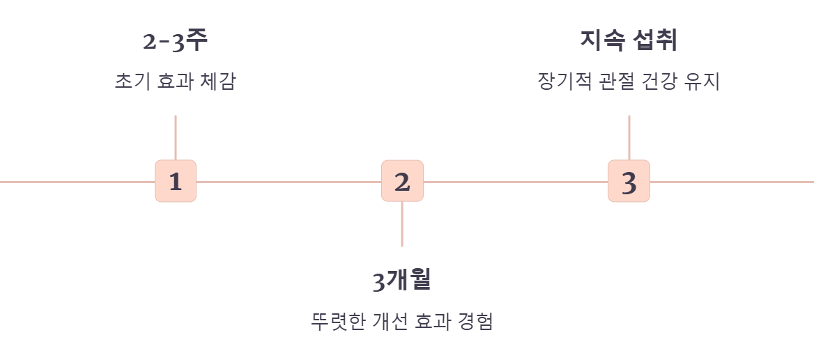 콘드로이친 효과 시기