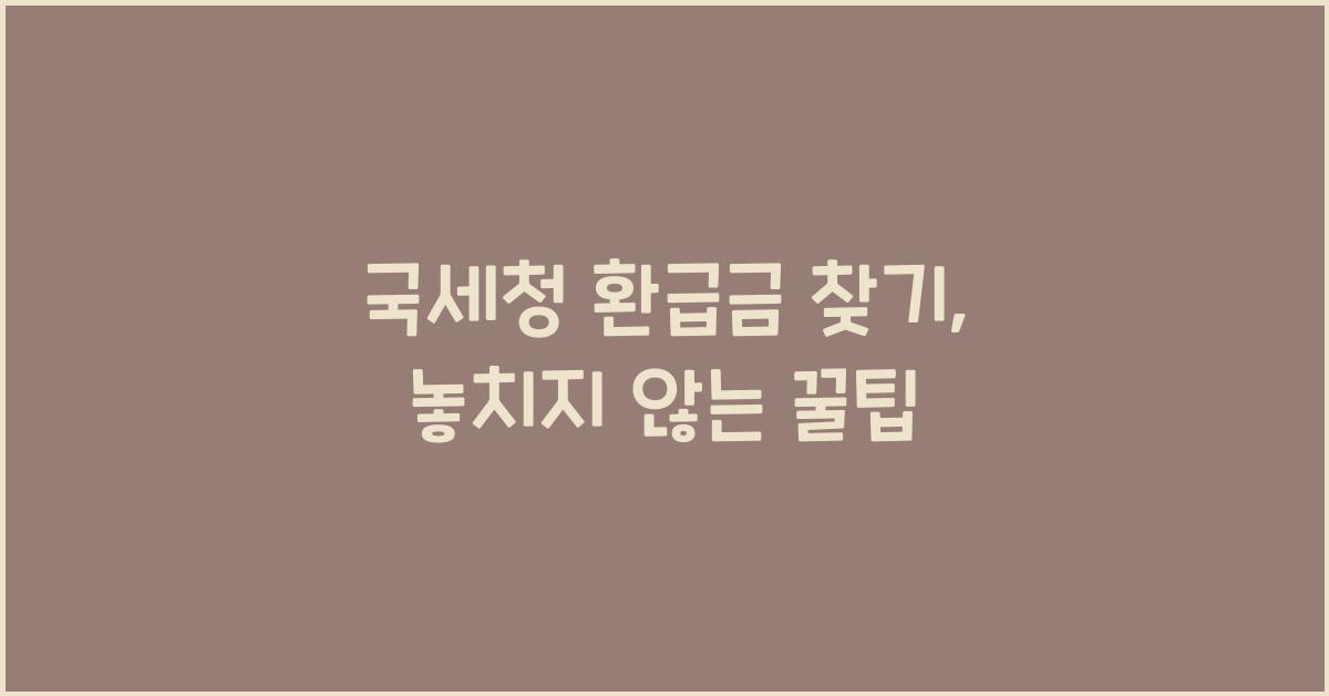 국세청 환급금 찾기
