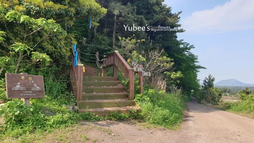 지미봉 지미오름 정상으로 올라가는 길