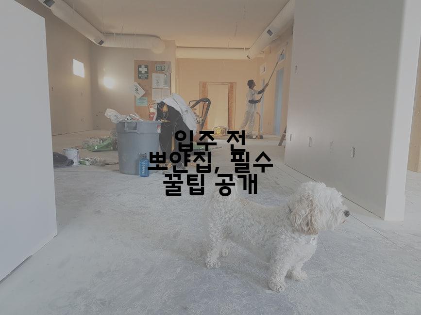 입주 전 뽀얀집, 필수 꿀팁 공개