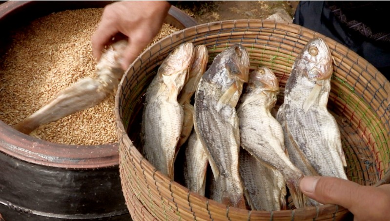 한국인의밥상 보리굴비 영광 못말리는 맛의 고수 말리면 맛있다 보리굴비