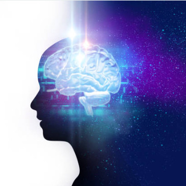 인지 및 두뇌 기능 향상