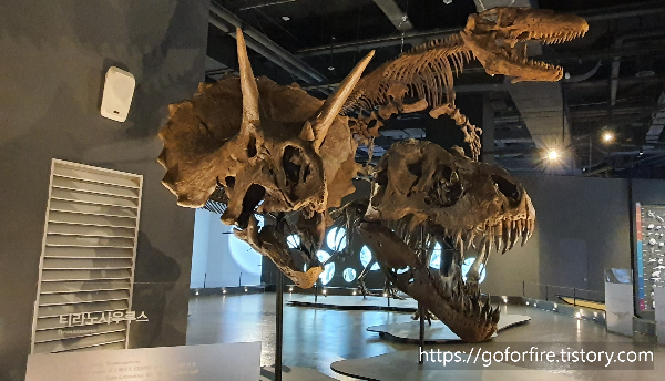 국립대구박물관-상설전시관3관-공룡