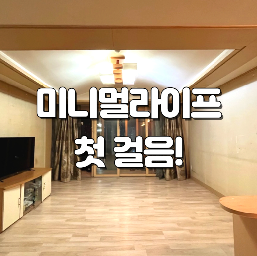 미니멀 라이프 실천기