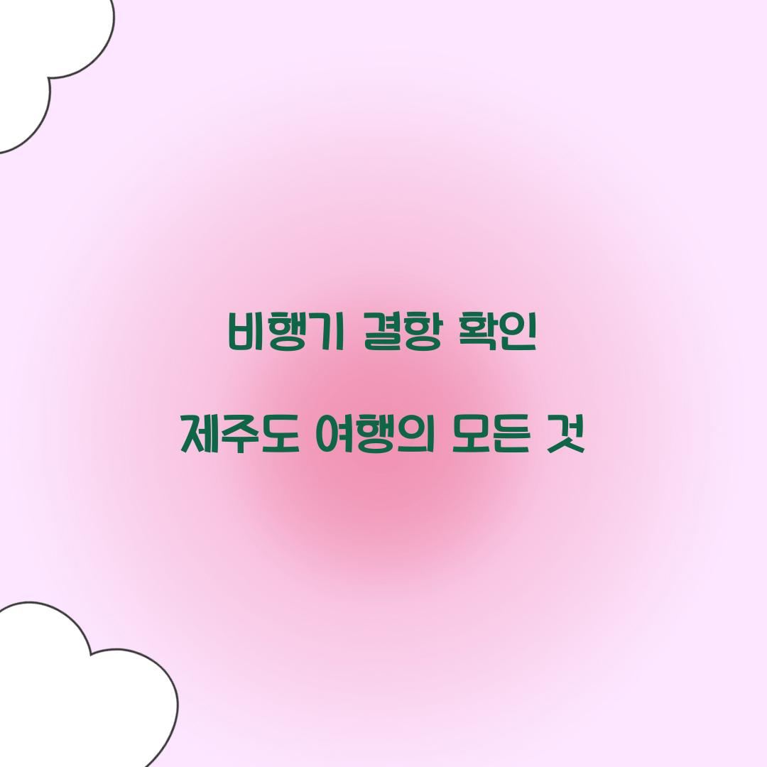 비행기 결항 확인