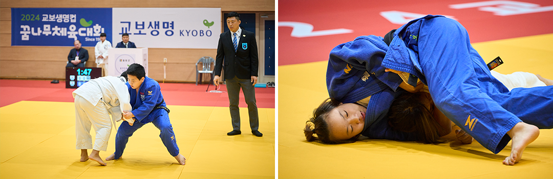 #교보생명컵꿈나무체육대회 #꿈나무체육대회 #꿈체 #유도 #철원