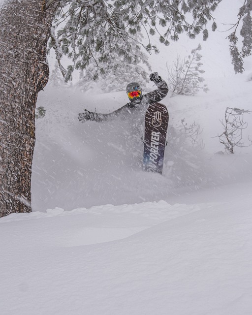 스노우보드 취미 만들기
