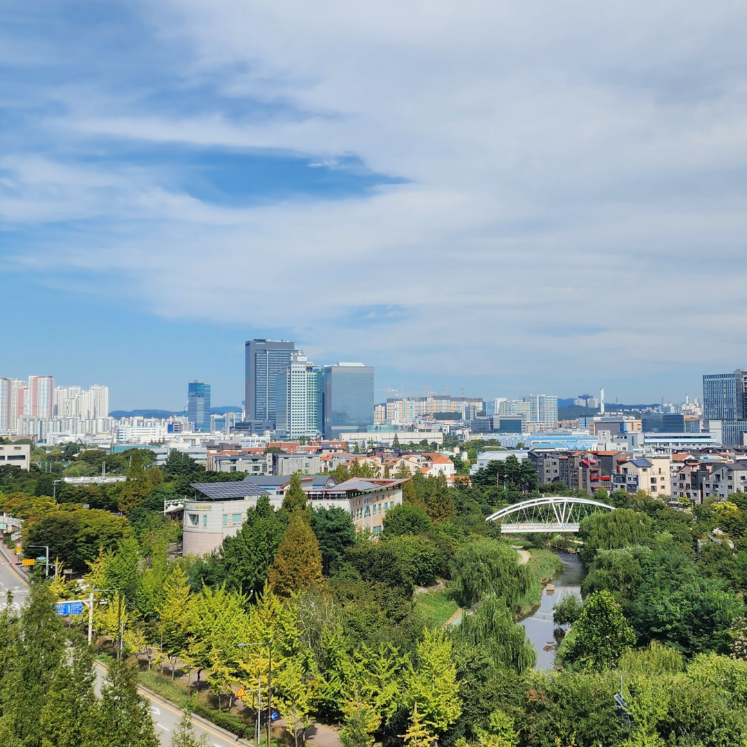 수원 카페 관련 사진