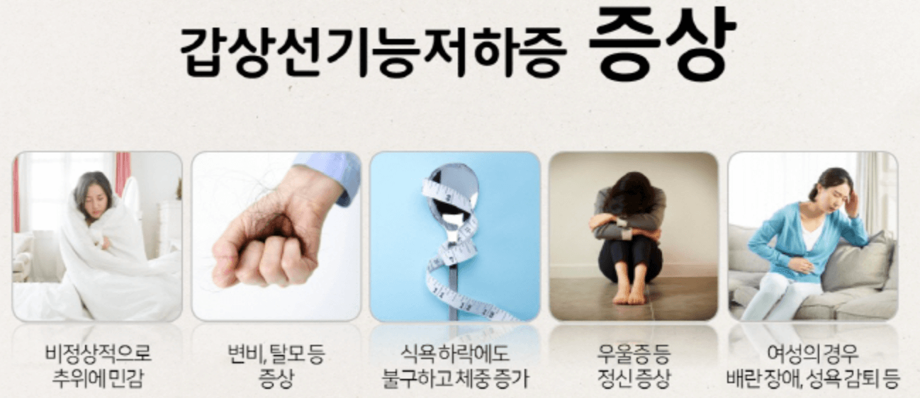 갑상선 기능 저하증