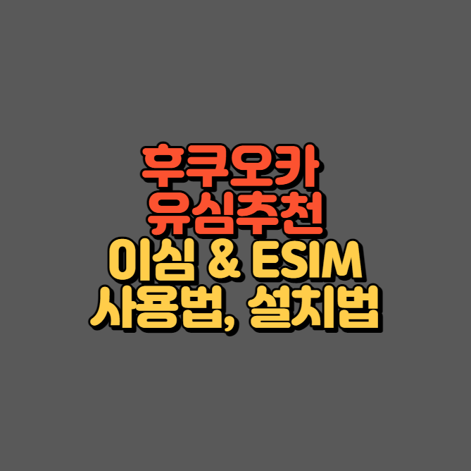 후쿠오카 유심추천 이심 ESIM