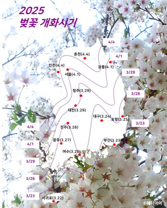 벚꽃 개화시기
