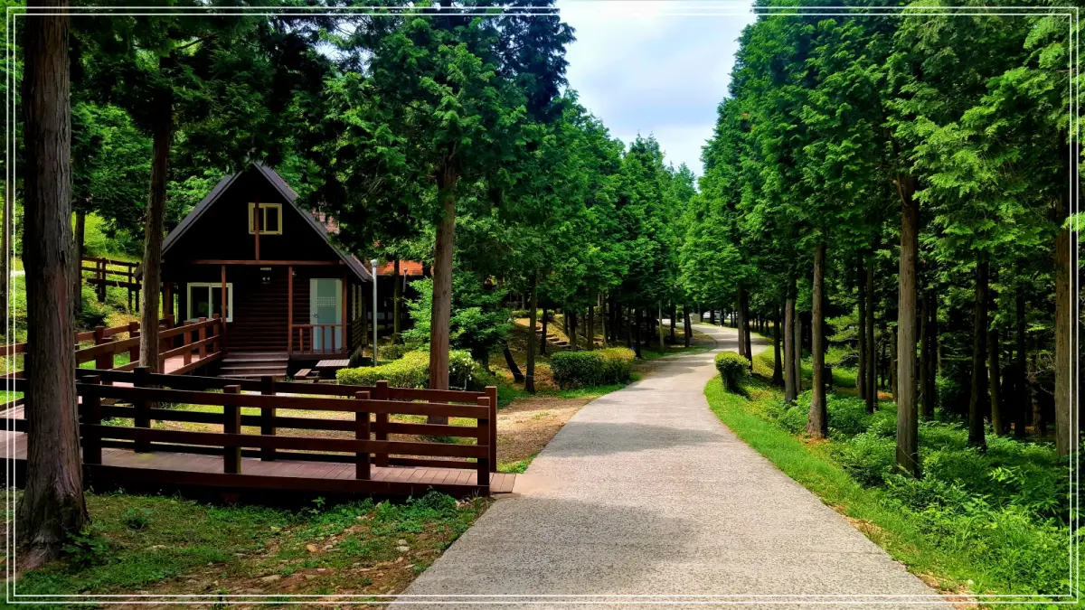 batch_사진2.남해편백자연휴양림