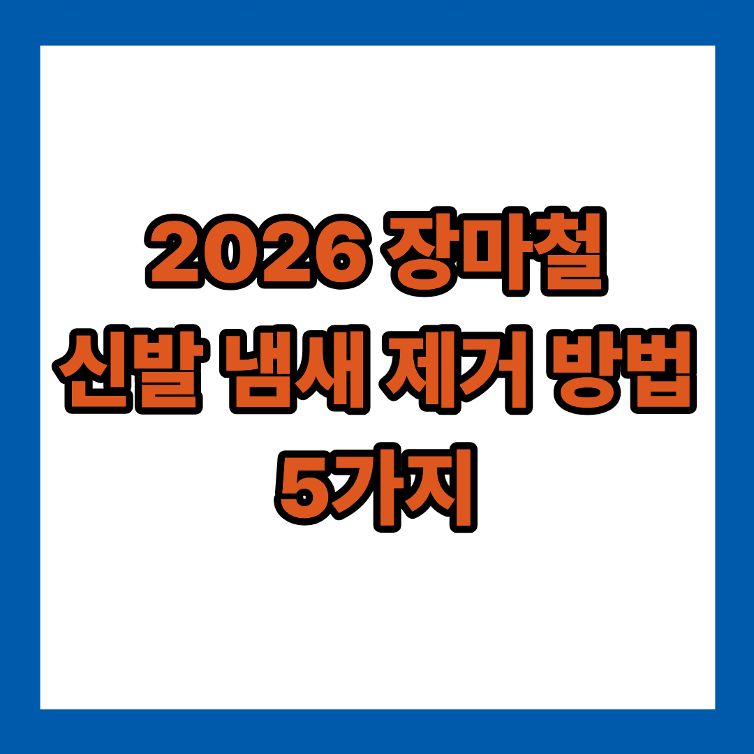 2026 장마철 신발 냄새 제거 방법 5가지｜습기와 곰팡이 냄새 해결하는 관리법