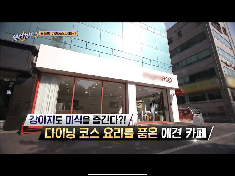 강아지-코스요리-카페