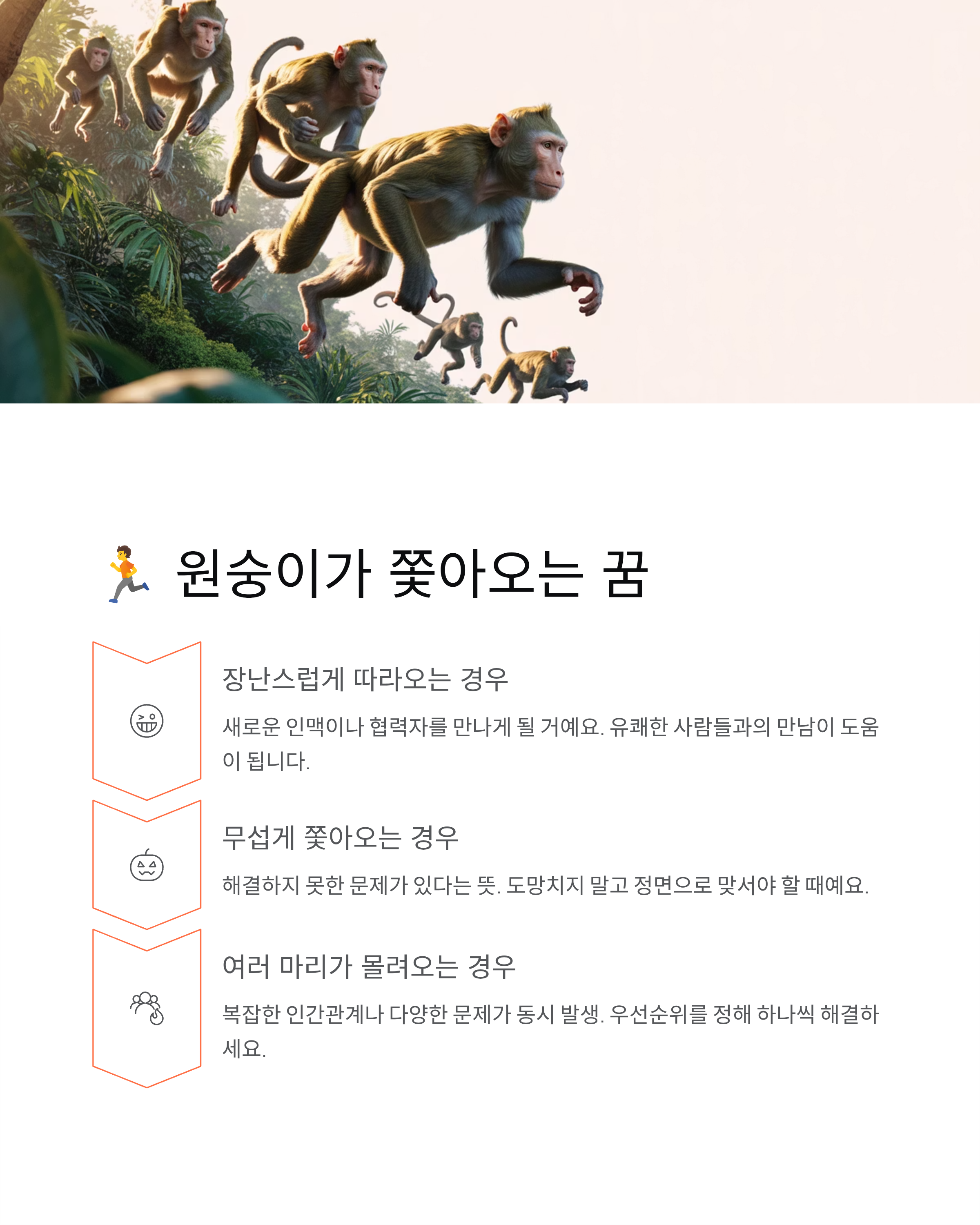 원숭이꿈 해몽 - 영리한 기회일까 위험 신호일까?