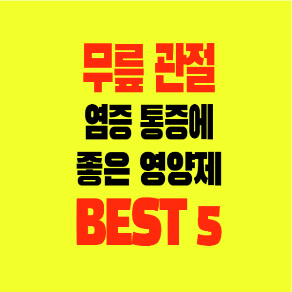 썸네일-무릎관절-통증-염증-좋은영양제-BEST5