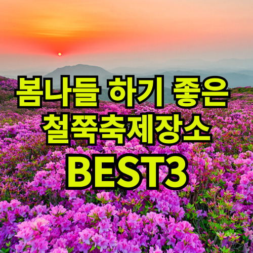 봄나들이 하기 좋은 철쭉 축제 (Best 3)