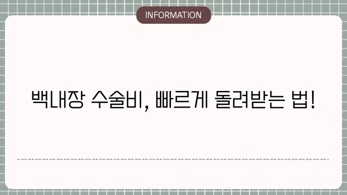 백내장수술비용 실비보구 조쫄: 