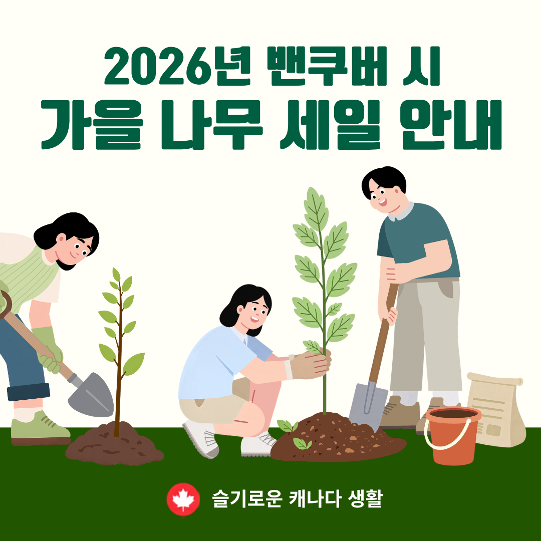 2026년 밴쿠버 시 가을 나무 세일 프로그램 안내