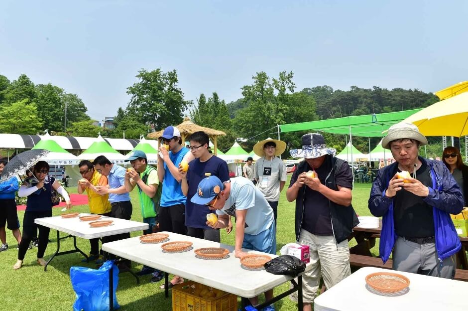 여주 금사참외축제 2026